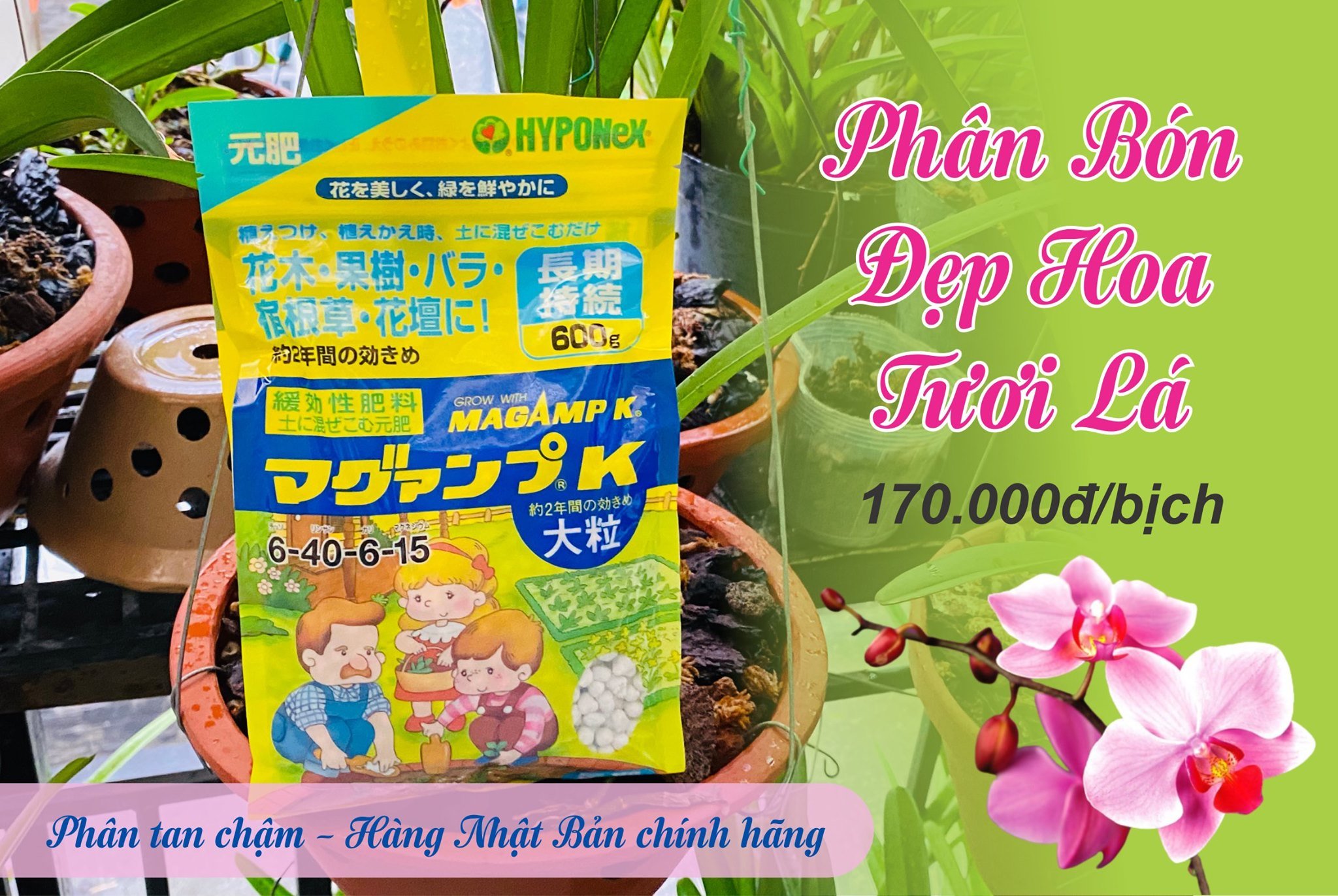 PHÂN TAN CHẬM NHẬT BẢN HYPONEX MAGAM K 6-40-6-15 - 600g