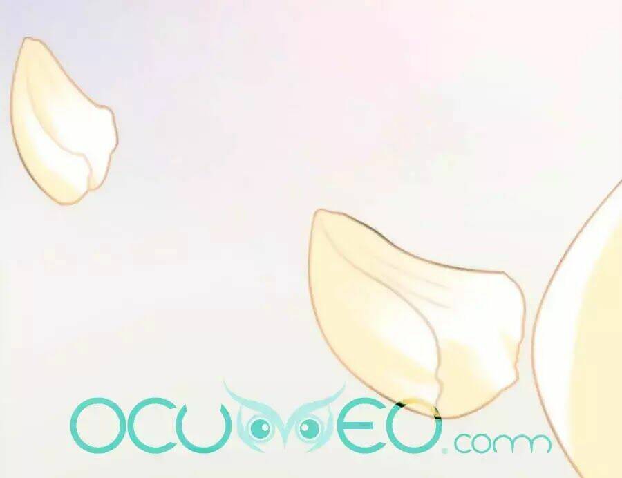 quyền phi chi đế y phong hoa chapter 1.2 51