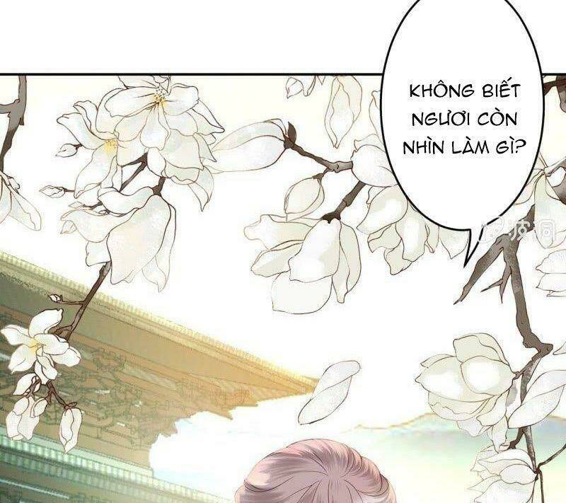 vương gia kiêu ngạo quá khó cua chapter 39 6