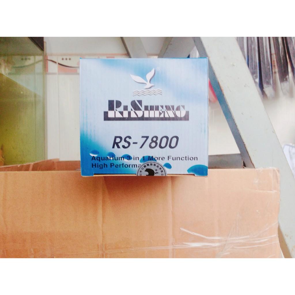 Combo máy bơm, máng lọc, RS 7800 cho hồ cá cảnh