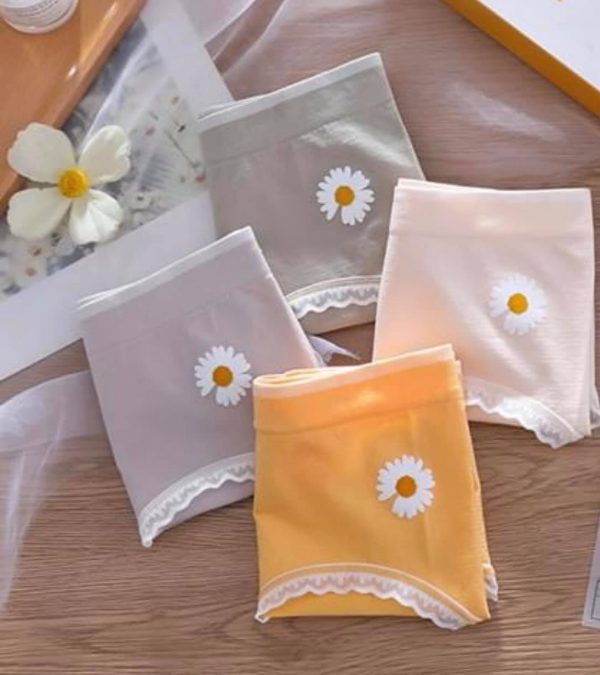 Hộp 4 quần lót/ quần chip nữ cao cấp họa tiết hoa cúc thiết kế co giãn 4 chiều mặc ôm, chất liệu cotton mềm mại, thấm hút mồ hôi tốt HÀNG LOẠI ĐẸP