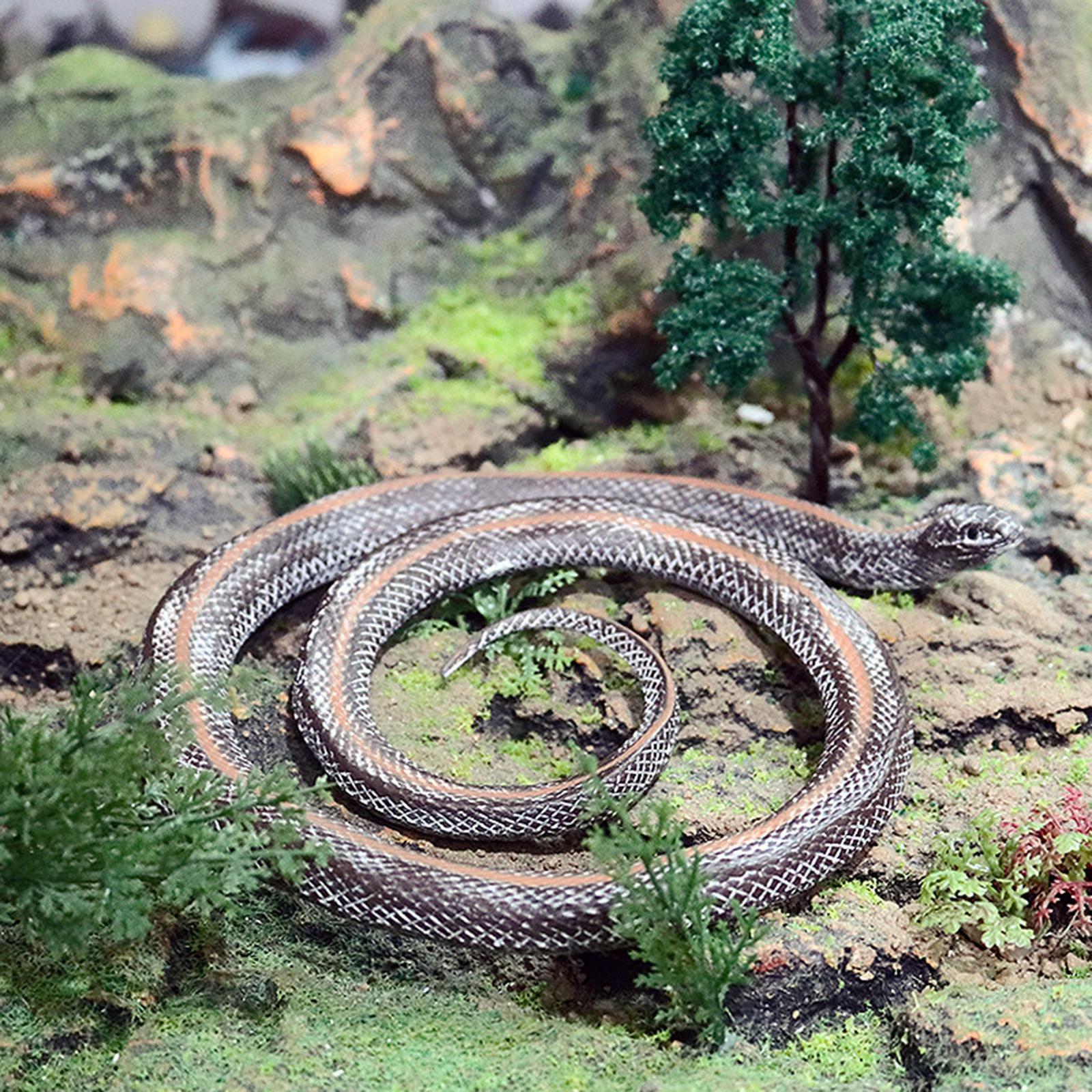 Simulation Fake  Photo Props Educational Durable Statue 17cm for Home