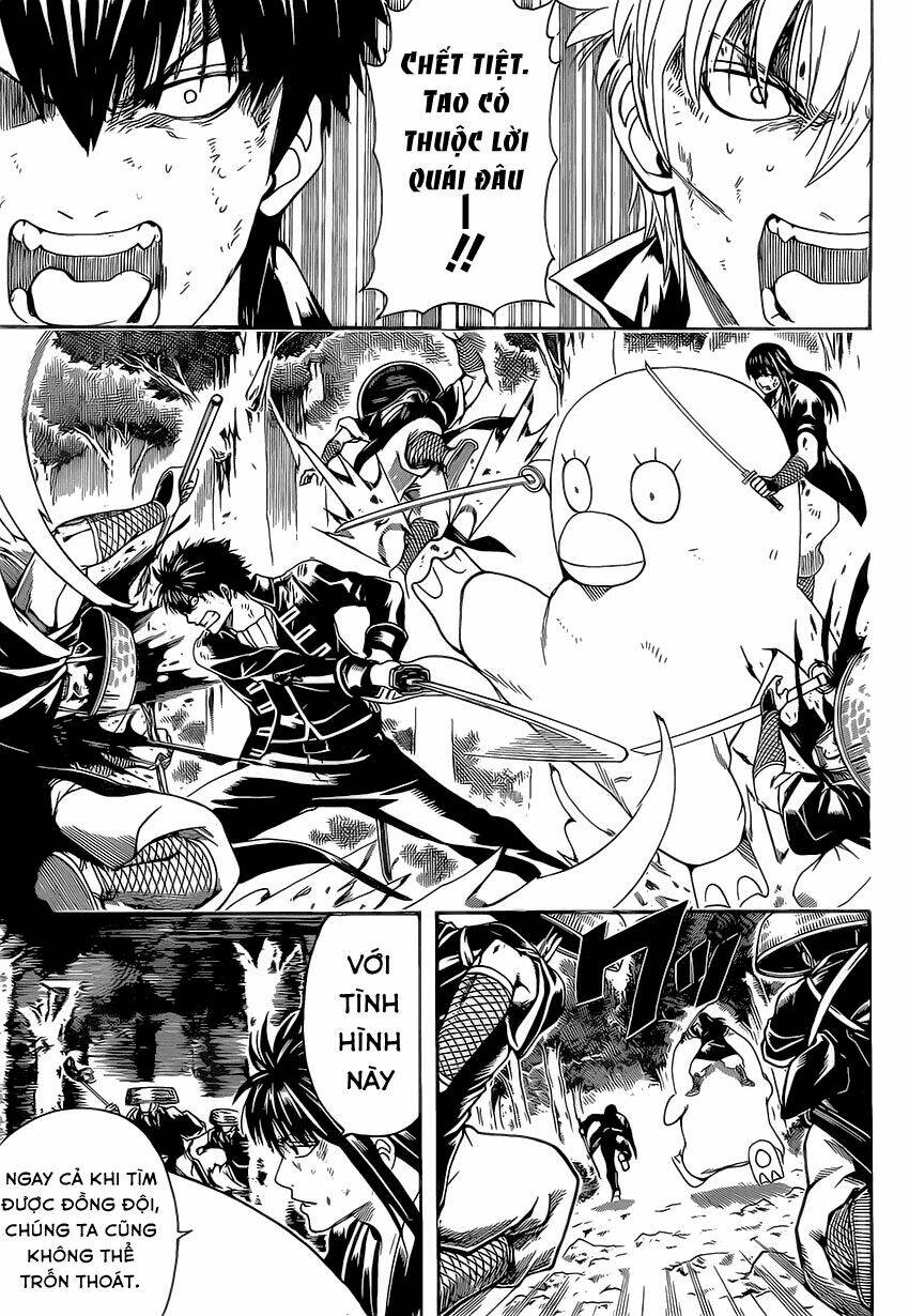 gintama - linh hồn bạc chapter 545 12