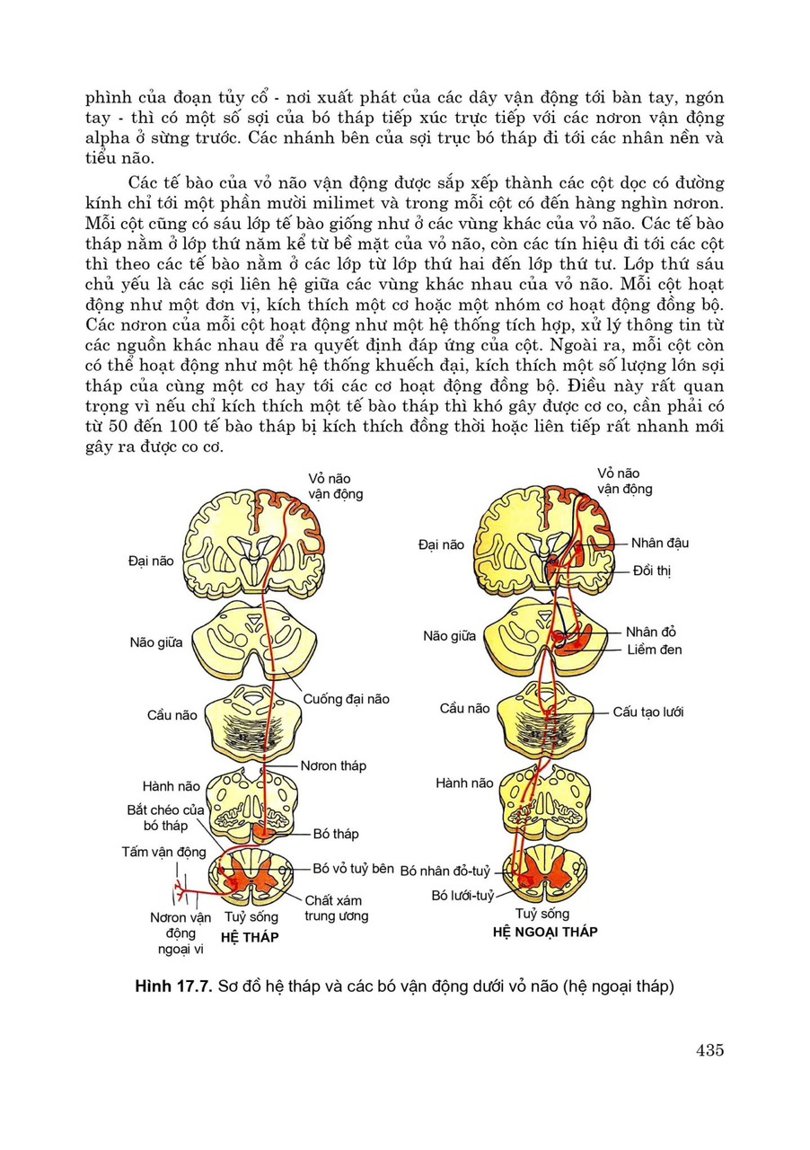 SINH LÝ HỌC - Sách Đào Tạo Bác Sĩ Đa Khoa