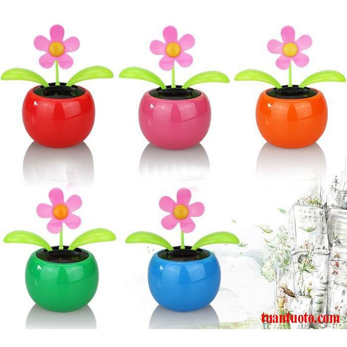 Bộ tượng búp bê, cún cưng, chậu cây lắc lư và nước hoa ô tô