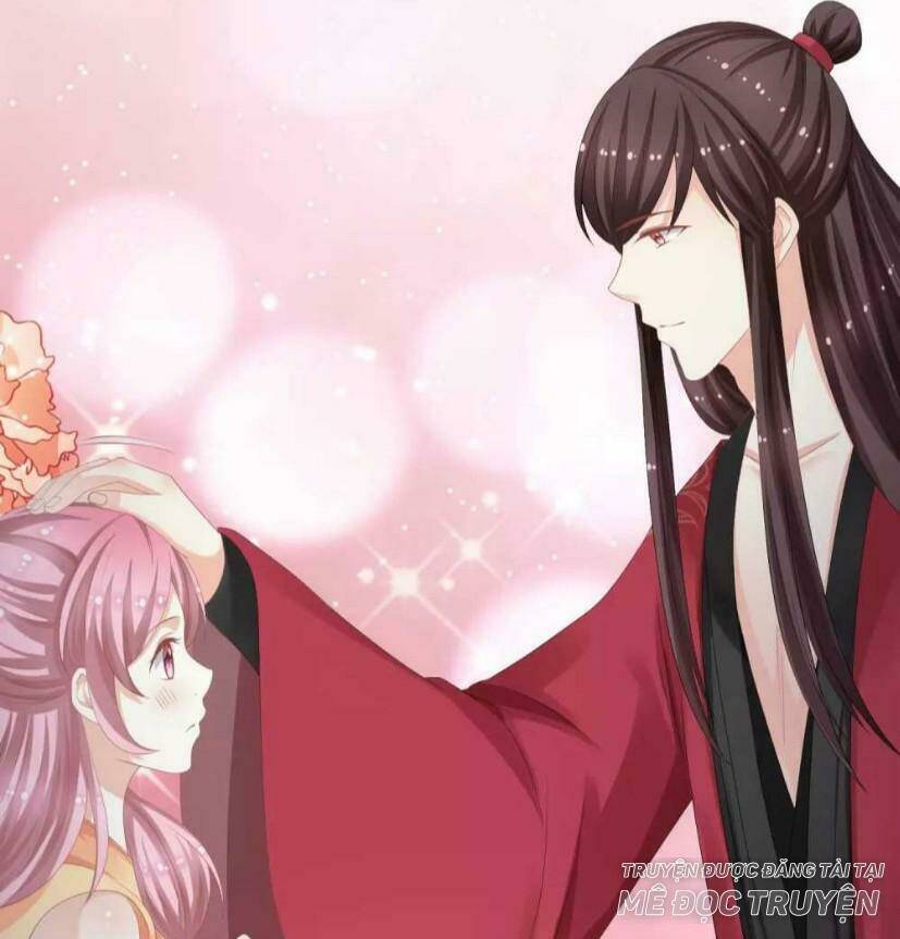mau xuyên hướng dẫn tự cứu vật hi sinh nữ phụ chapter 12 76