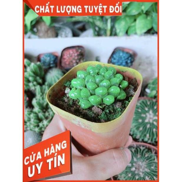 Kim Cương Xanh Lá