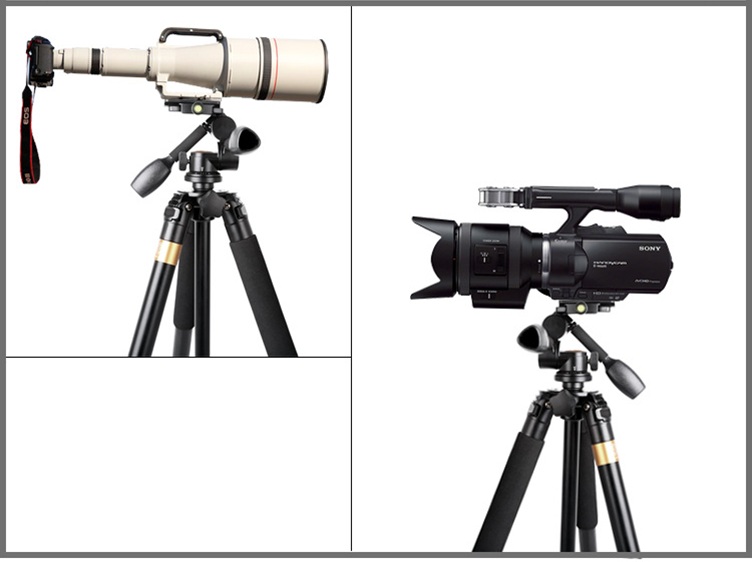 CHÂN MÁY ẢNH TRIPOD BEIKE Q-620 - HÀNG NHẬP KHẨU