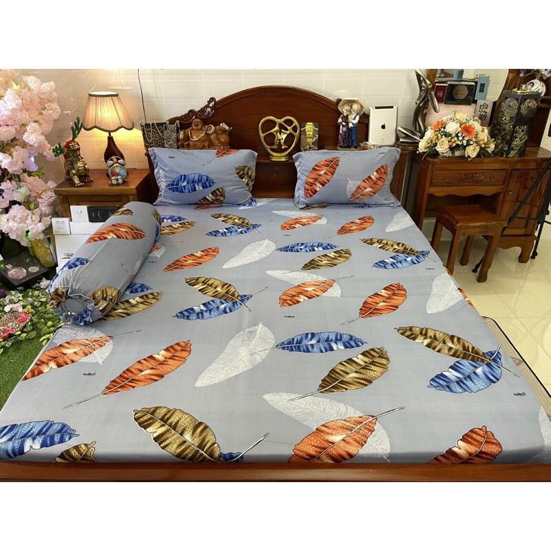 Drap thun Hàn quốc
