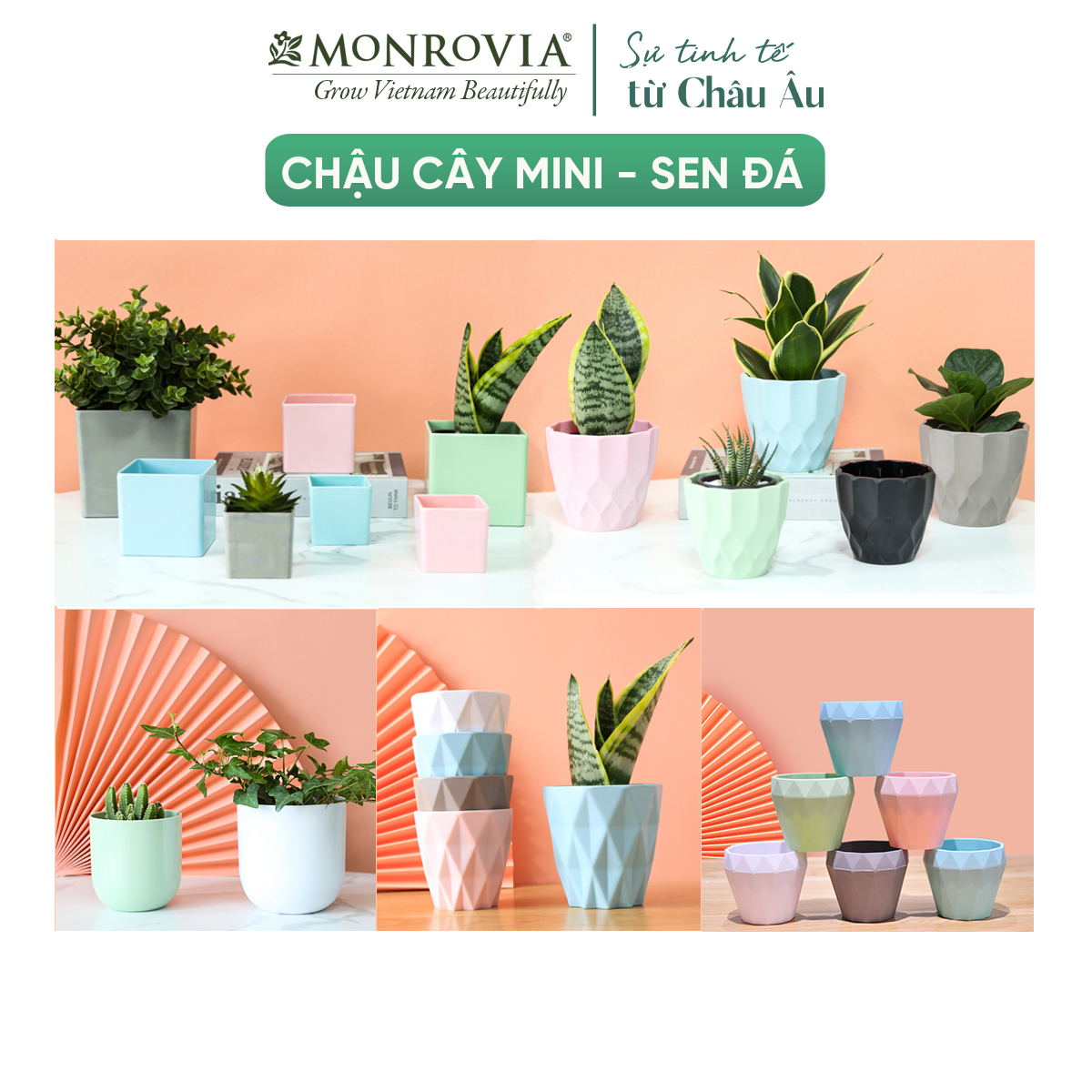 Chậu trồng cây mini MONROVIA cho sen đá, cây cảnh, hoa nhí, xương rồng, bonsai để bàn, ban công