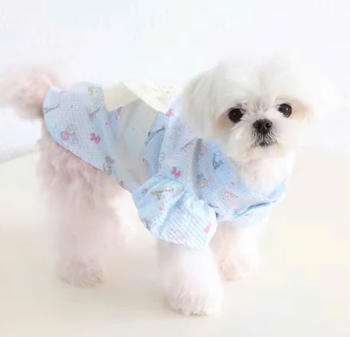 VÁY XANH KIỂU NHẬT BẢN SANG TRỌNG TỪ TỪ 0.5-8KG DÀNH CHO CHÓ MÈO