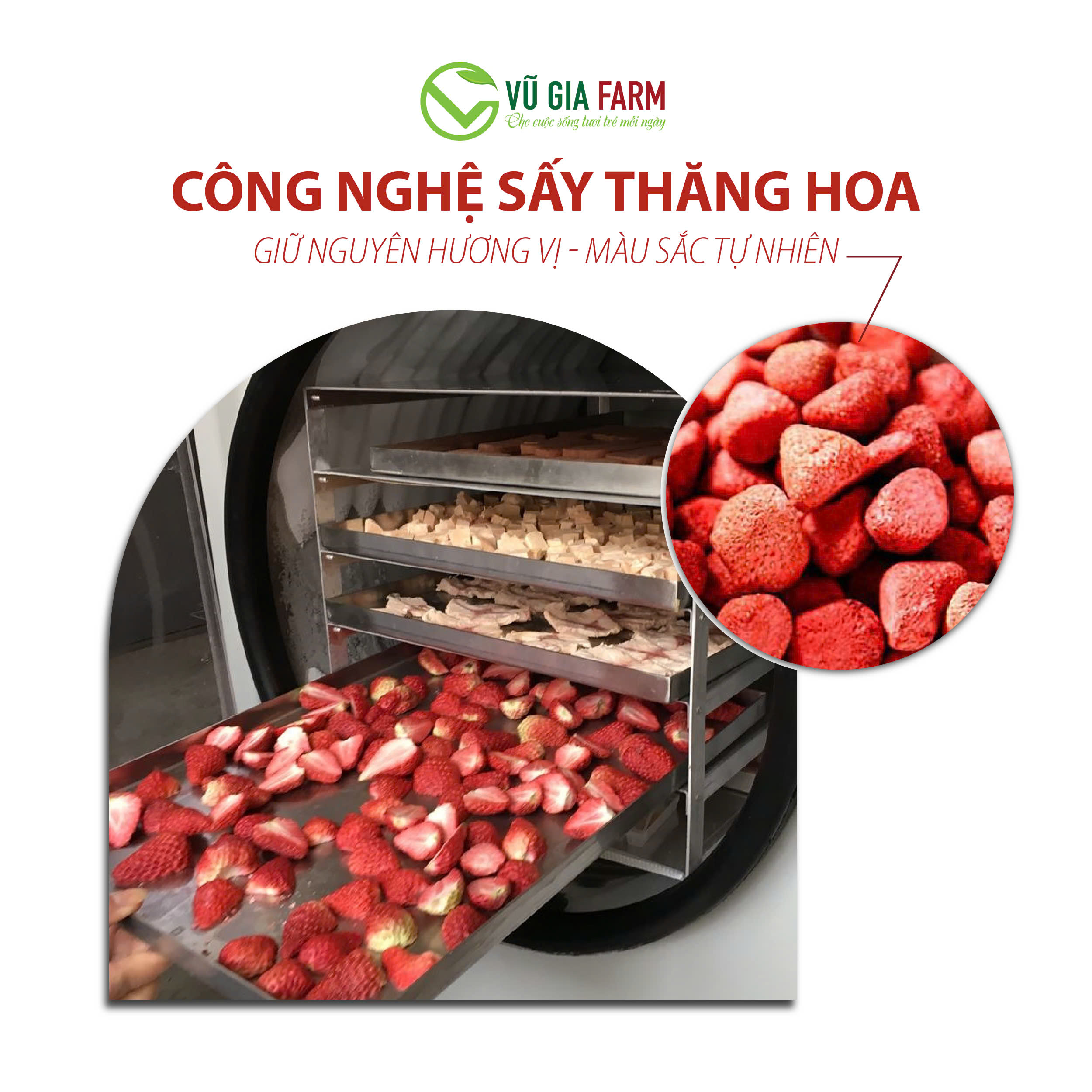 Dâu Tây Sấy Thăng Hoa Nguyên Quả (60g/hũ) - giòn, không đường, chua ngọt nguyên vị