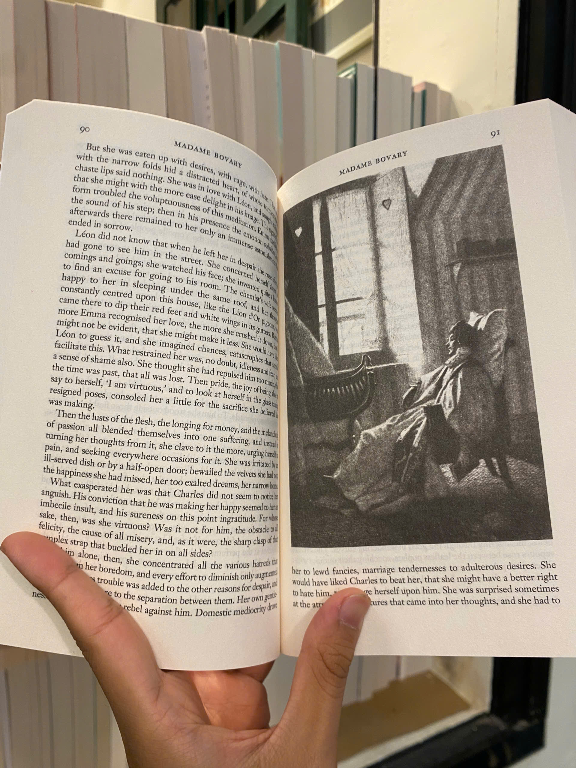 Sách - Madame Bovary (Wordsworth Classics) by Gustave Flaubert | English Book - French Literature