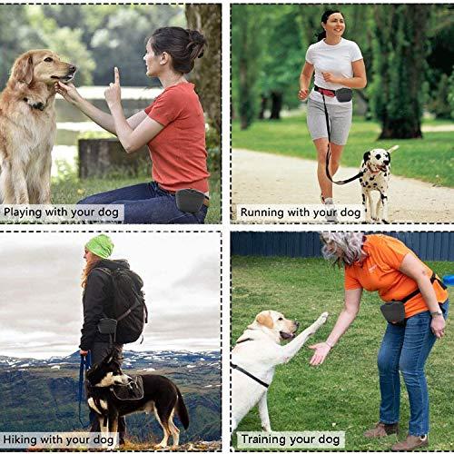 Chó  cho chó trong thực phẩm cho chất lượng thực phẩm mà không có, câu hỏi đóng cửa từ tính, đối xử với chó nhỏ bằng clip ở thắt lưng, clicker cho chó