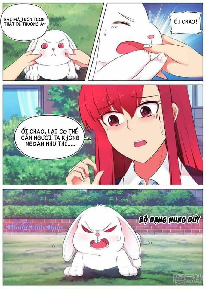 hầu nữ của xà vương đại nhân chapter 1 15