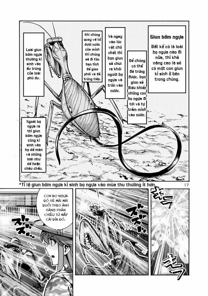 Đảo Côn Trùng Chapter 65 - Trang 17