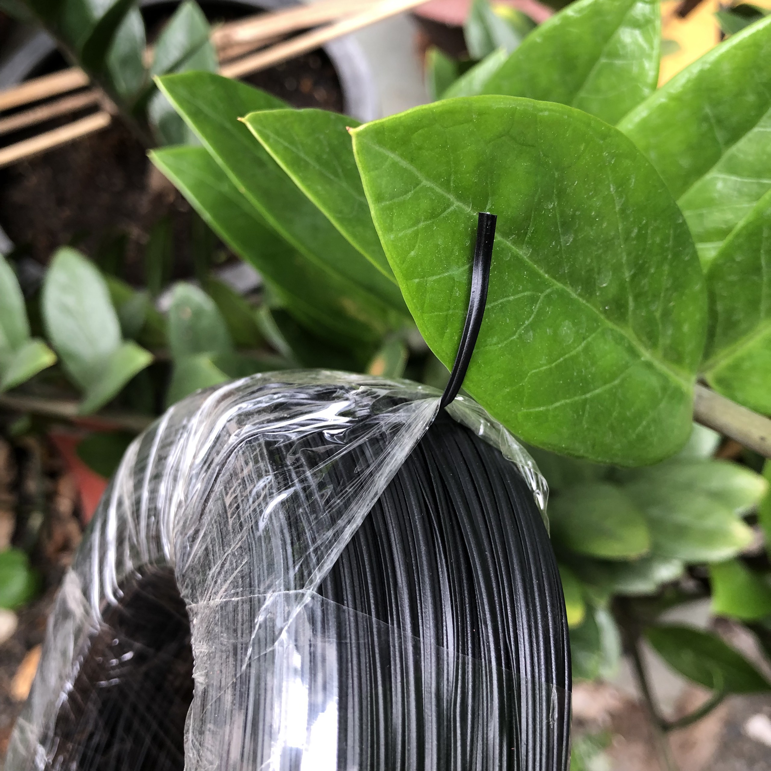 Dây kẽm bọc nhựa đen buộc lan, cây cảnh cuộn 1kg