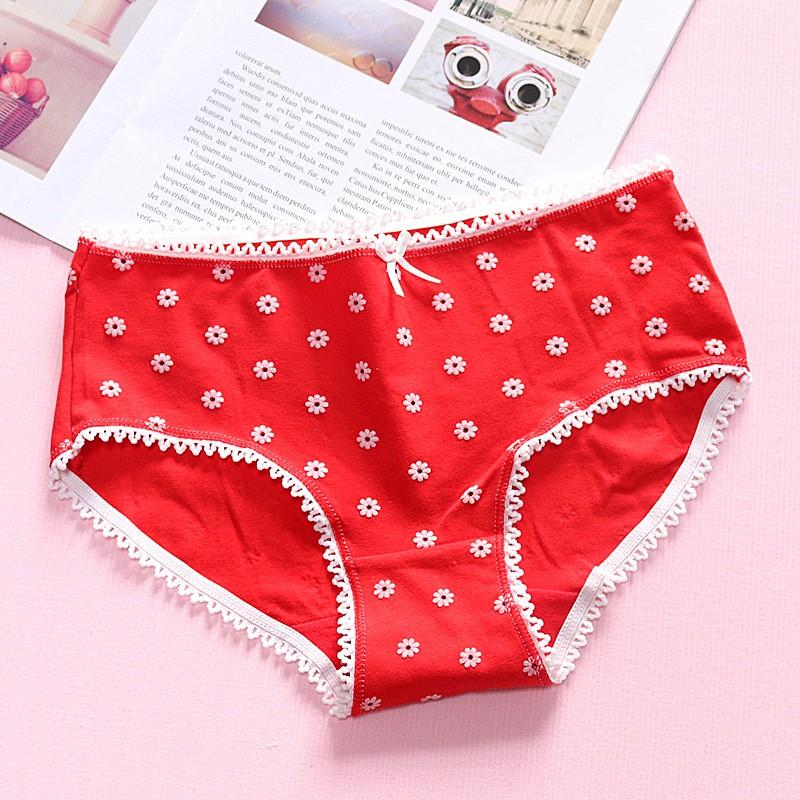 Quần Lót Nữ Cotton Kháng Khuẩn Hình Hoa Nổi Xuất Hàn Hàng Loại Đẹp.