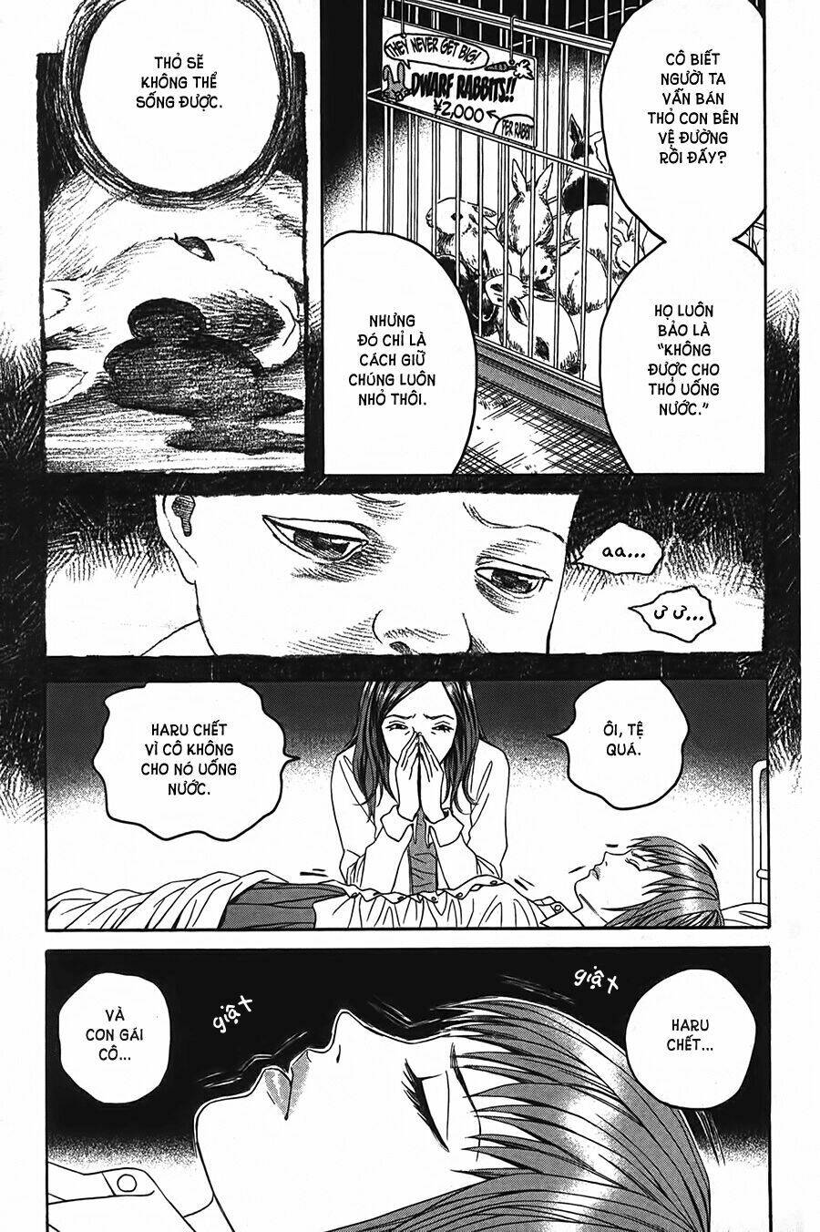 ảo ảnh picasso chapter 2 35