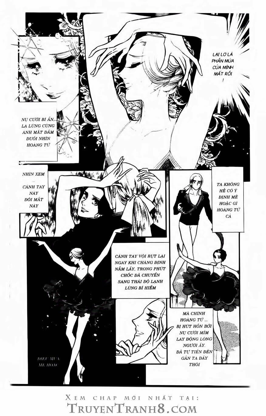 swan - vũ khúc thiên nga chapter 97 18