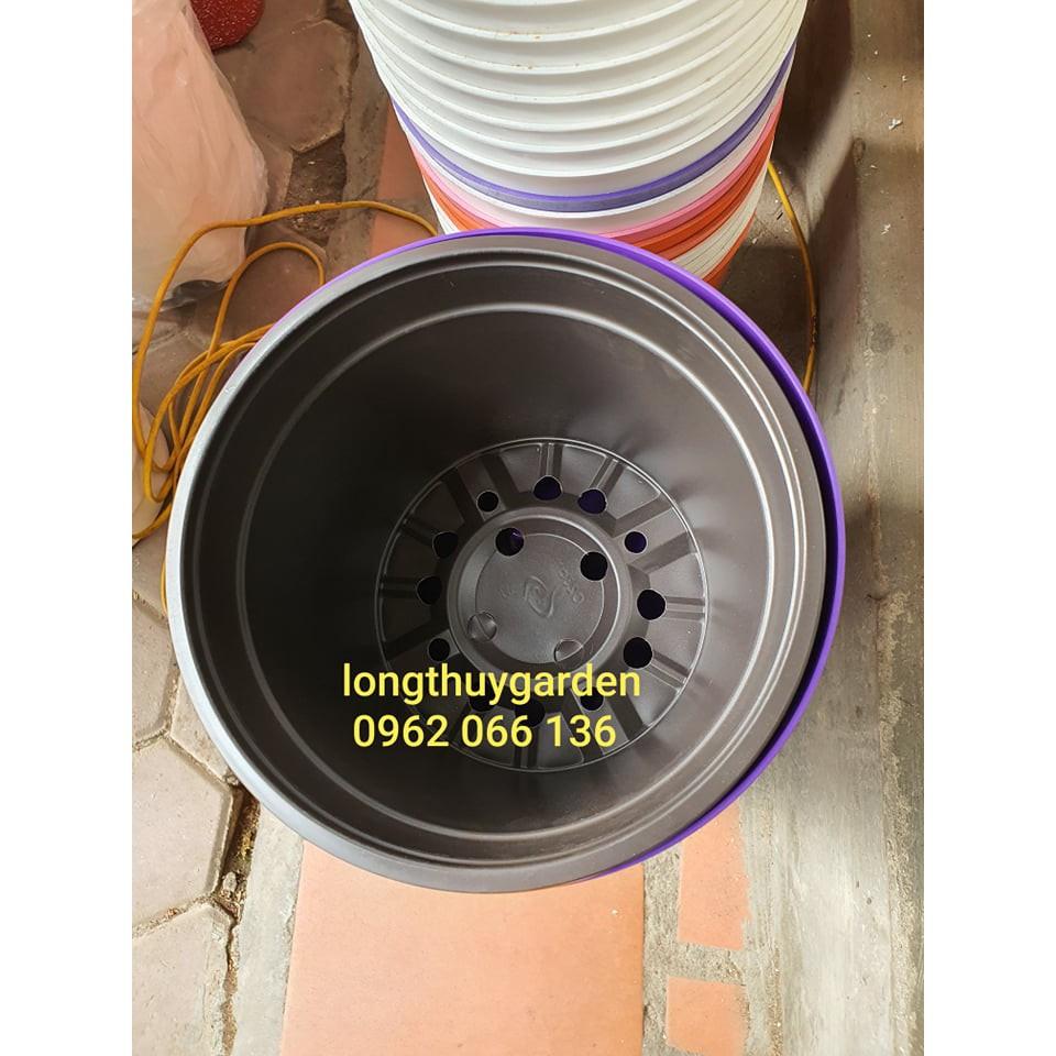 Chậu cây thông minh 2 LỚP nhập khẩu
