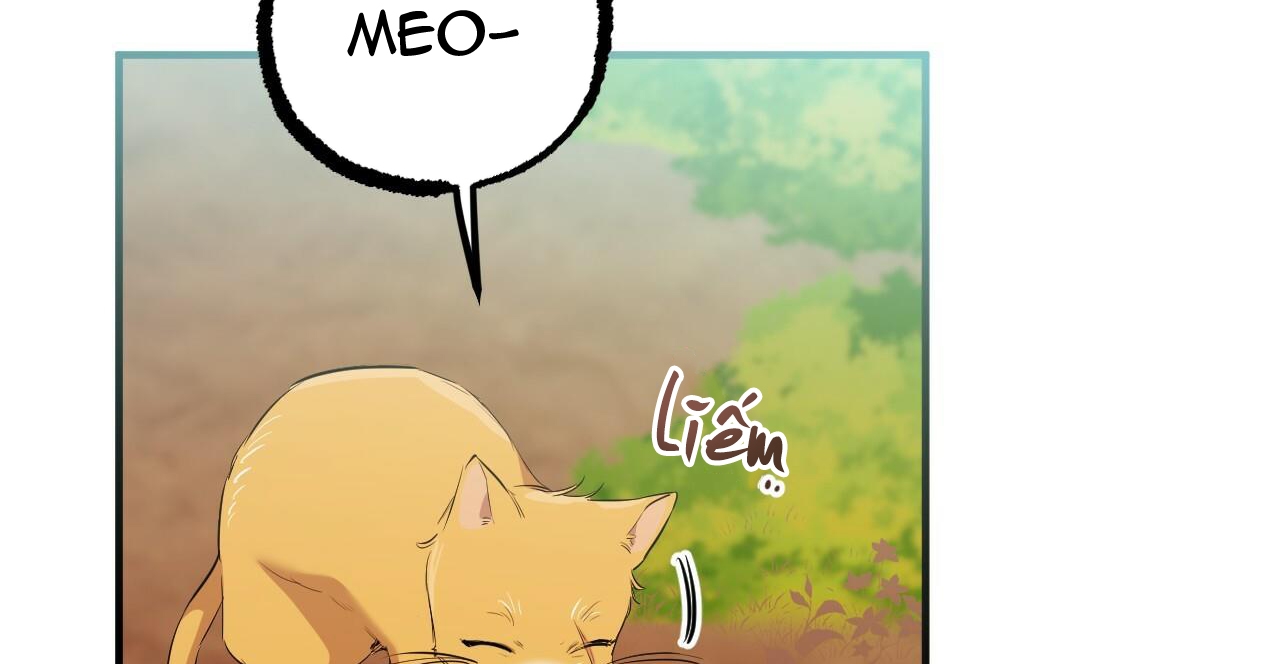 những chú thỏ của hapypy chapter 49 280