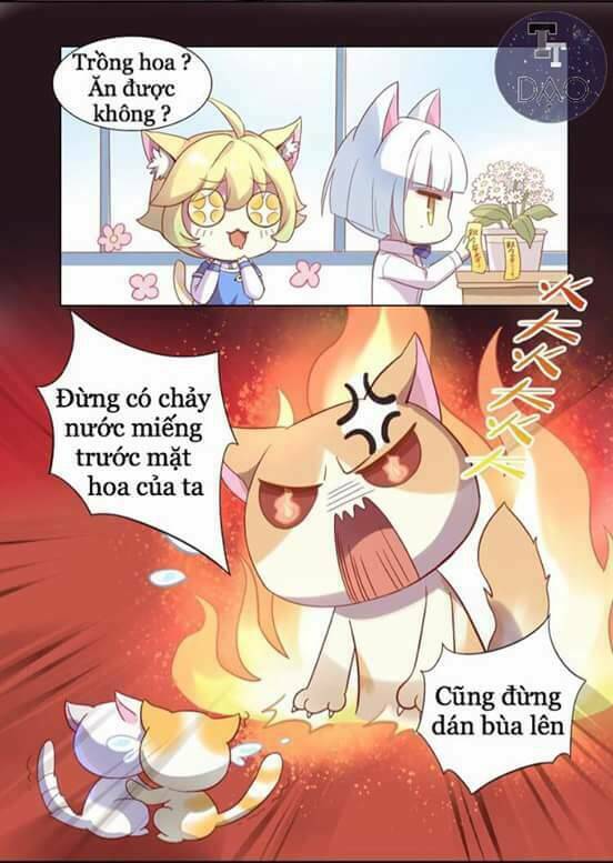 dưới móng vuốt mèo chapter 2 25