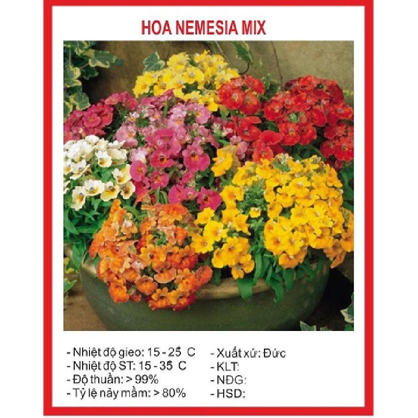 Hạt giống Cúc Nemesia Mix – Gói 100Hạt