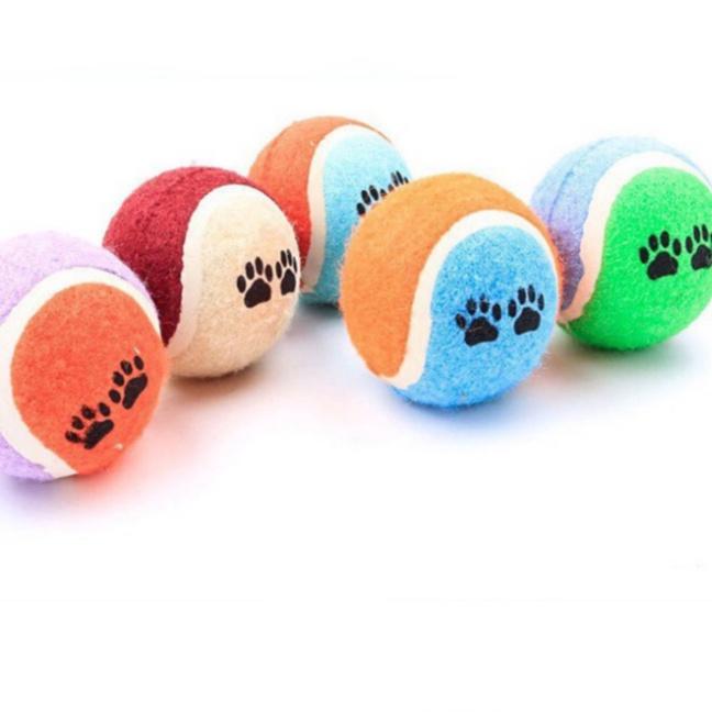Đồ chơi tương tác cho thú cưng bóng tennis - đồ chơi gặm cho chó