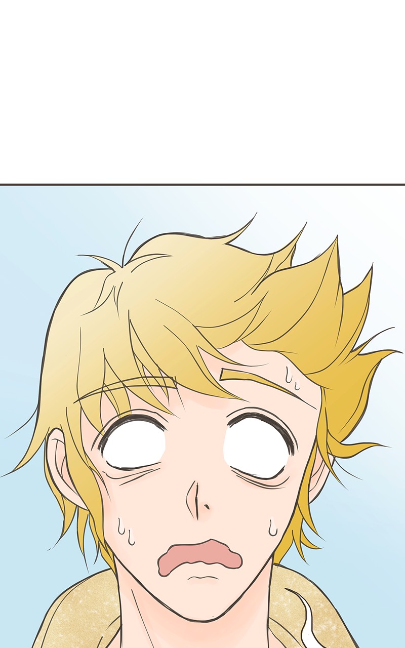 những nàng công chúa bị nguyền rủa chapter 23 53