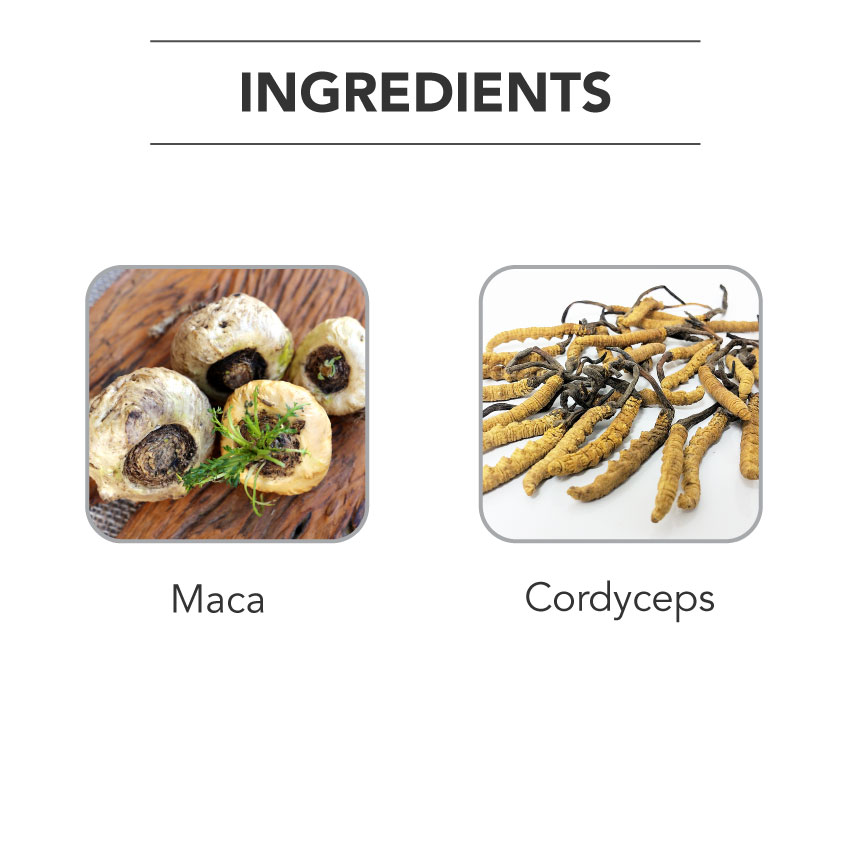 Viên Uống Đông Trùng Hạ Thảo Maca & Cordyceps Plus Tăng Cường Hệ Miễn Dịch Cải Thiện Chất Lượng Giấc Ngủ IngreLife Singapore - Hộp 60 Viên x 300mg