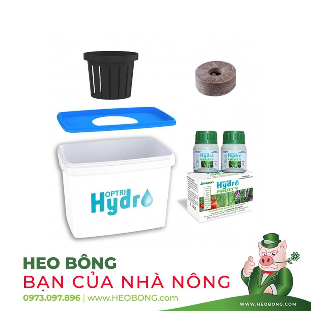 BỘ 10 CÁI - Chậu trồng thuỷ canh rau ăn quả HỢP TRÍ FRUITY KIT 10