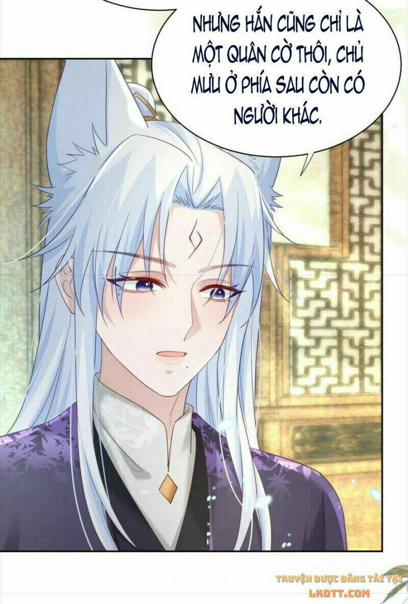 hắc hóa nam chính trực tuyến nuôi thỏ chapter 60 30