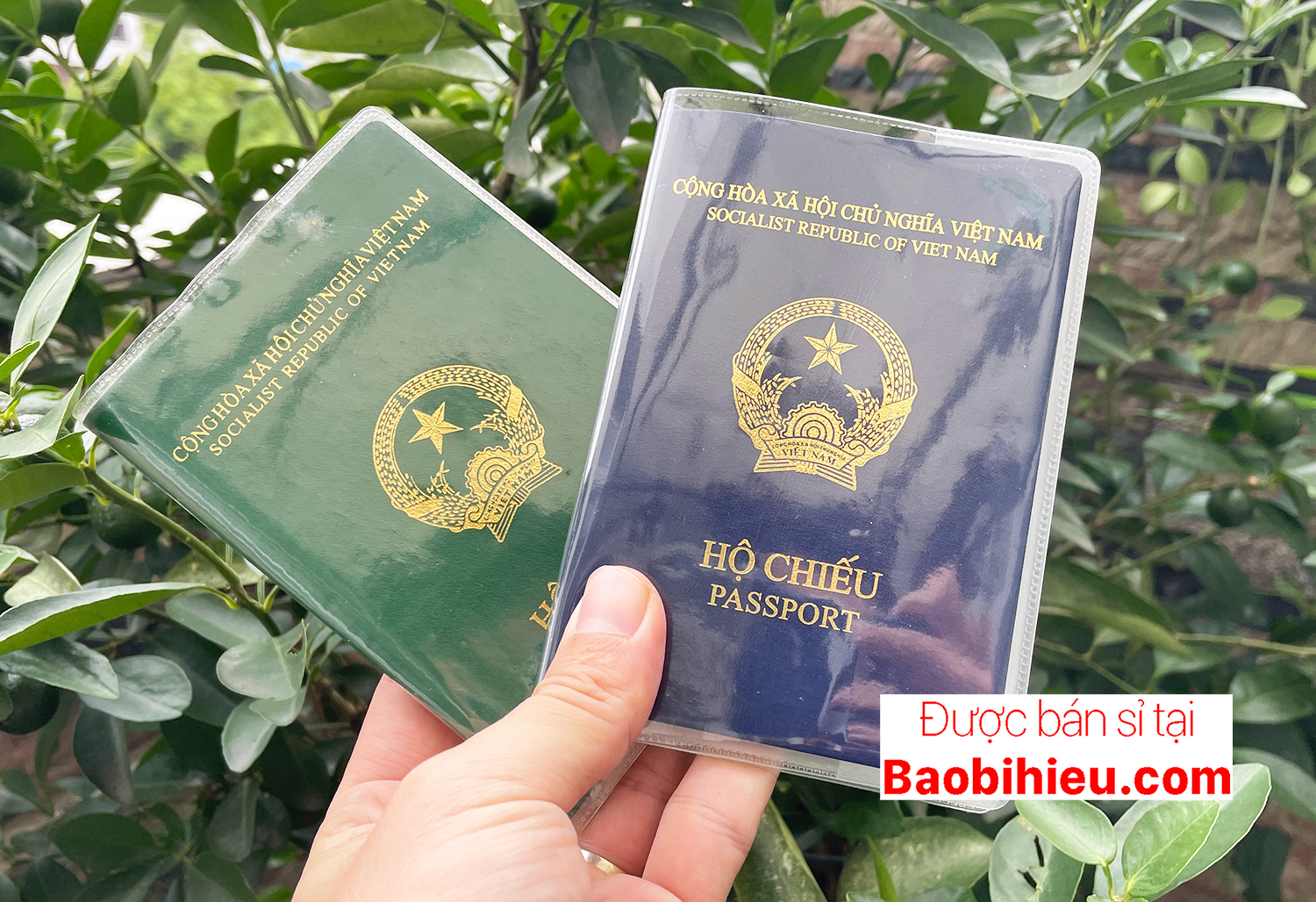 Vỏ bao hộ chiếu (passport) dẻo trong có khe đựng vé máy bay và các thoại thẻ hiệu bamarau B132