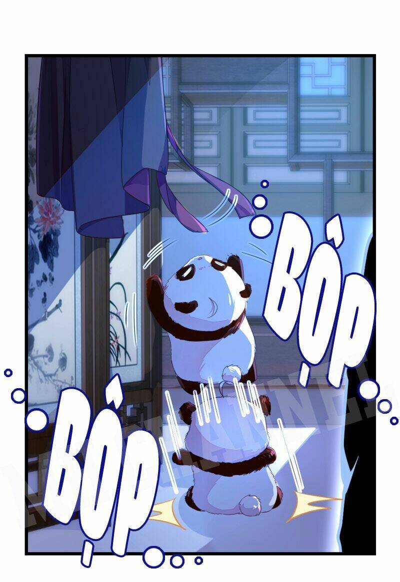 thiên thần gấu trúc muốn được ôm chapter 15 10