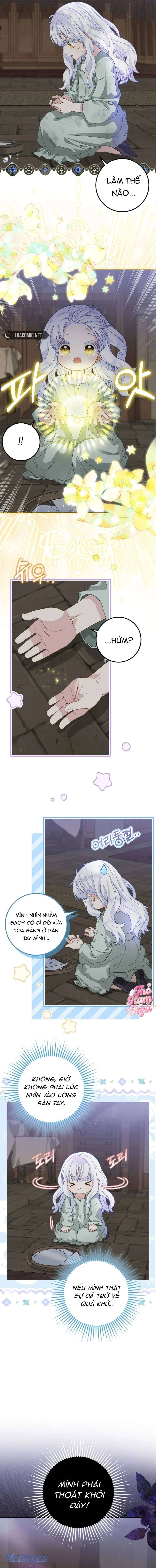 bé con báo tuyết của gia tộc báo đen chapter 1 15