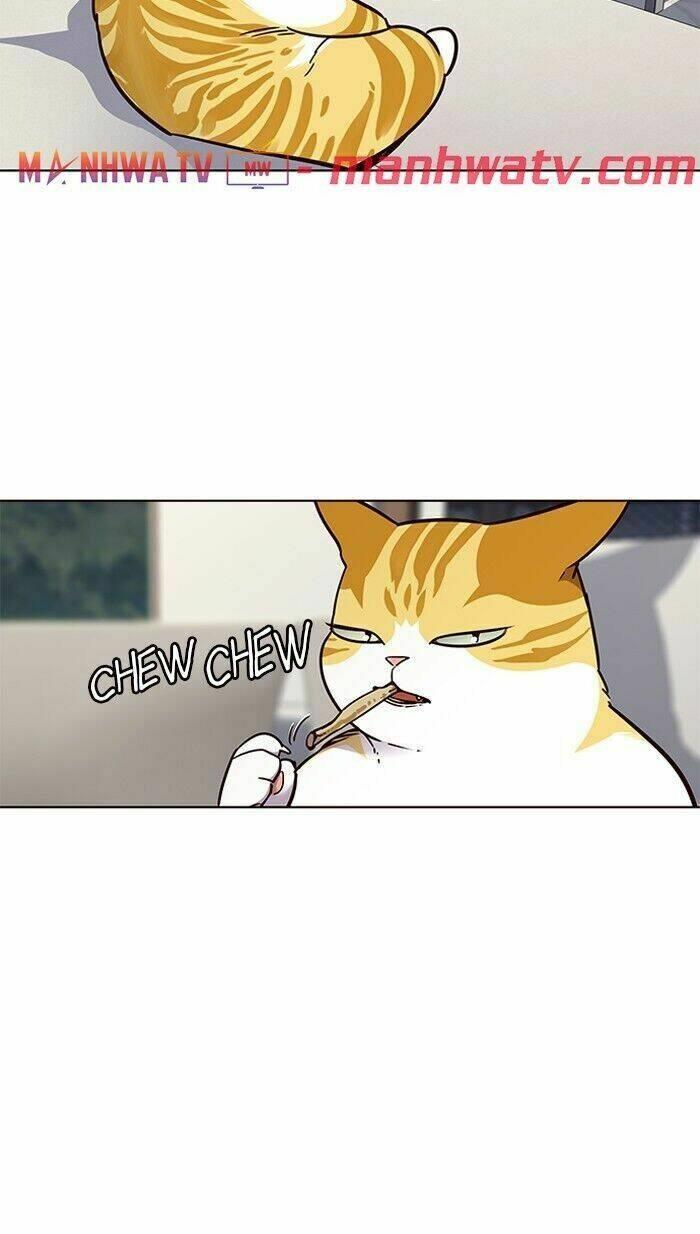 biến thân thành mèo chapter 60 48