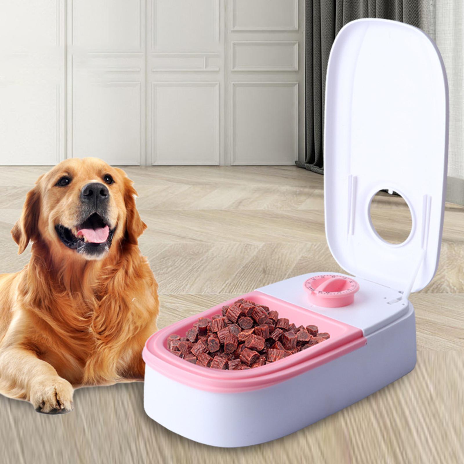 Automatic Pet Feeder Pet Feeding Electric Cat Feeder for Kitten Puppy