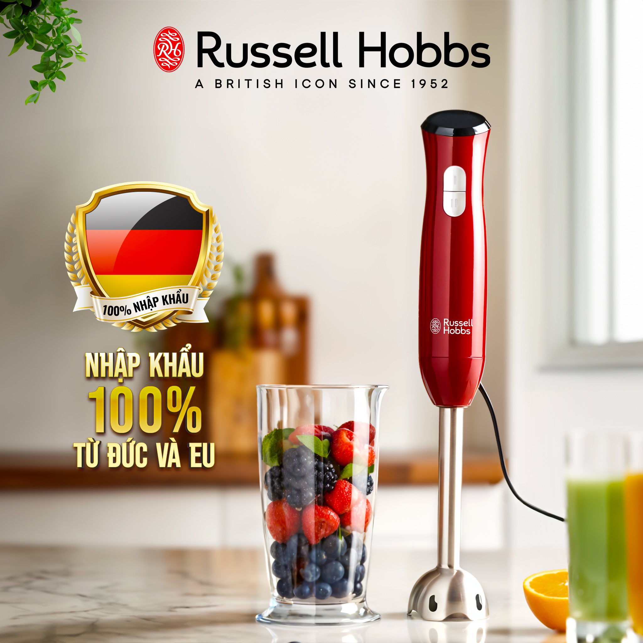 Máy Xay Cầm Tay Russell Hobbs Desire 24690-56 - Hàng Chính Hãng Nhập Khẩu