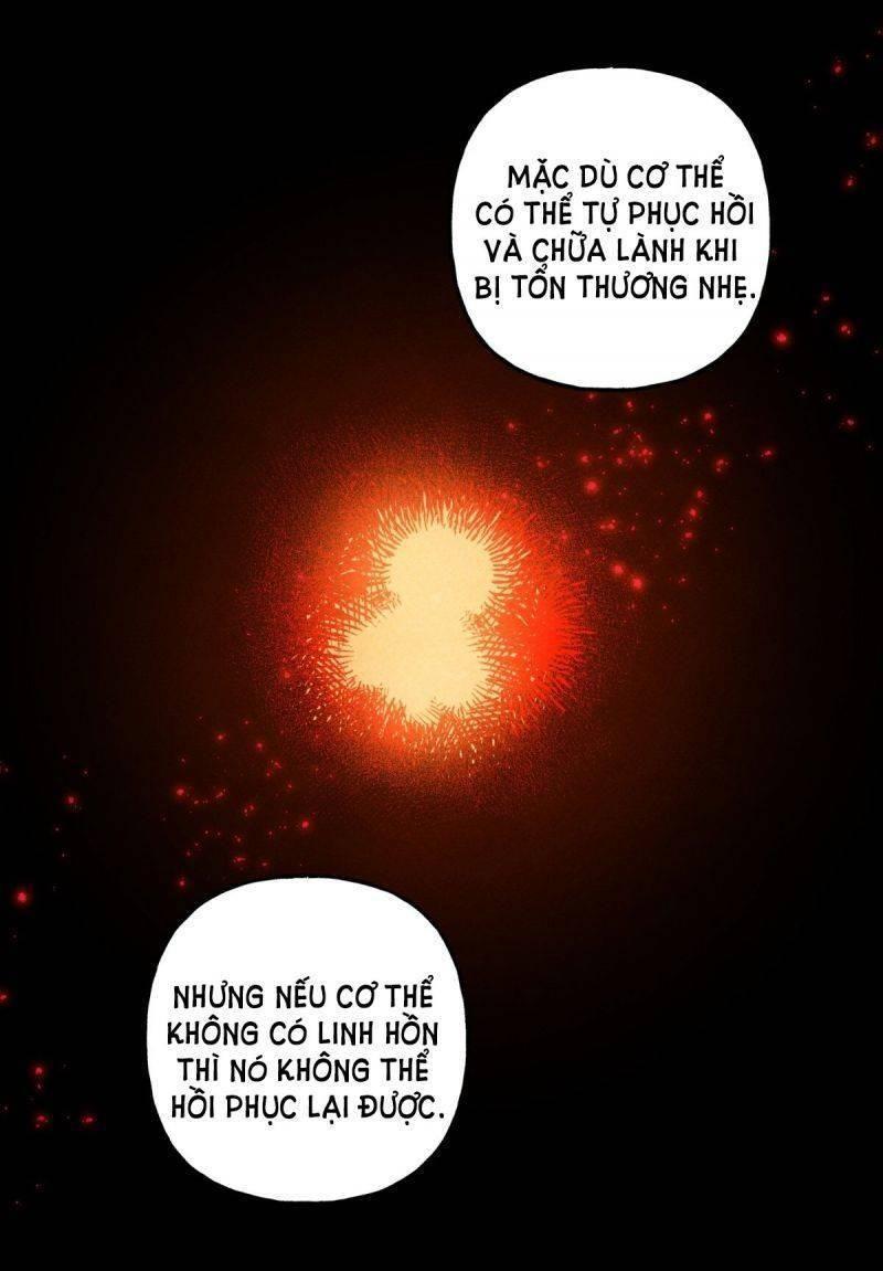 nuôi dưỡng một hắc long chapter 51.5 11