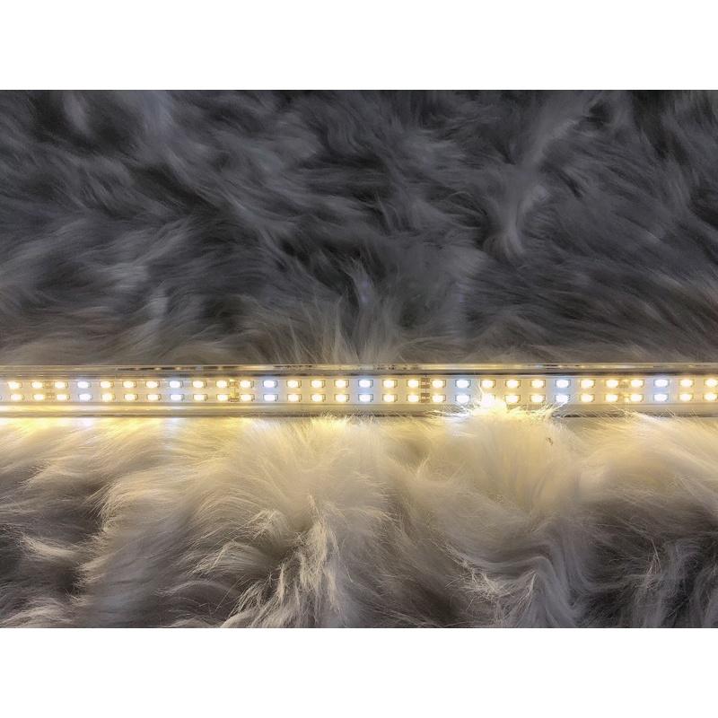 Đèn LED Cá Rồng Xuân Meilong 80cm Màu Vàng. Phụ Kiện Hồ Cá Đèn LED Cá Rồng Xuân Meilong 80cm