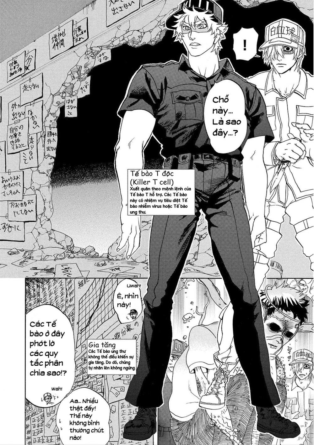 hataraku saibou! chapter 9 6