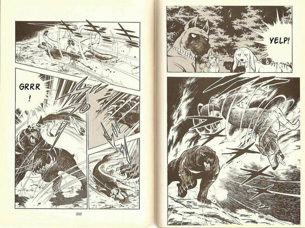 chú chó có nghĩa - ginga nagareboshi gin chapter 10 23