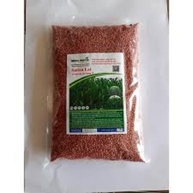 Hạt Giống Cỏ chăn nuôi SUDAN lai ,cỏ ngô - Gói 500gram