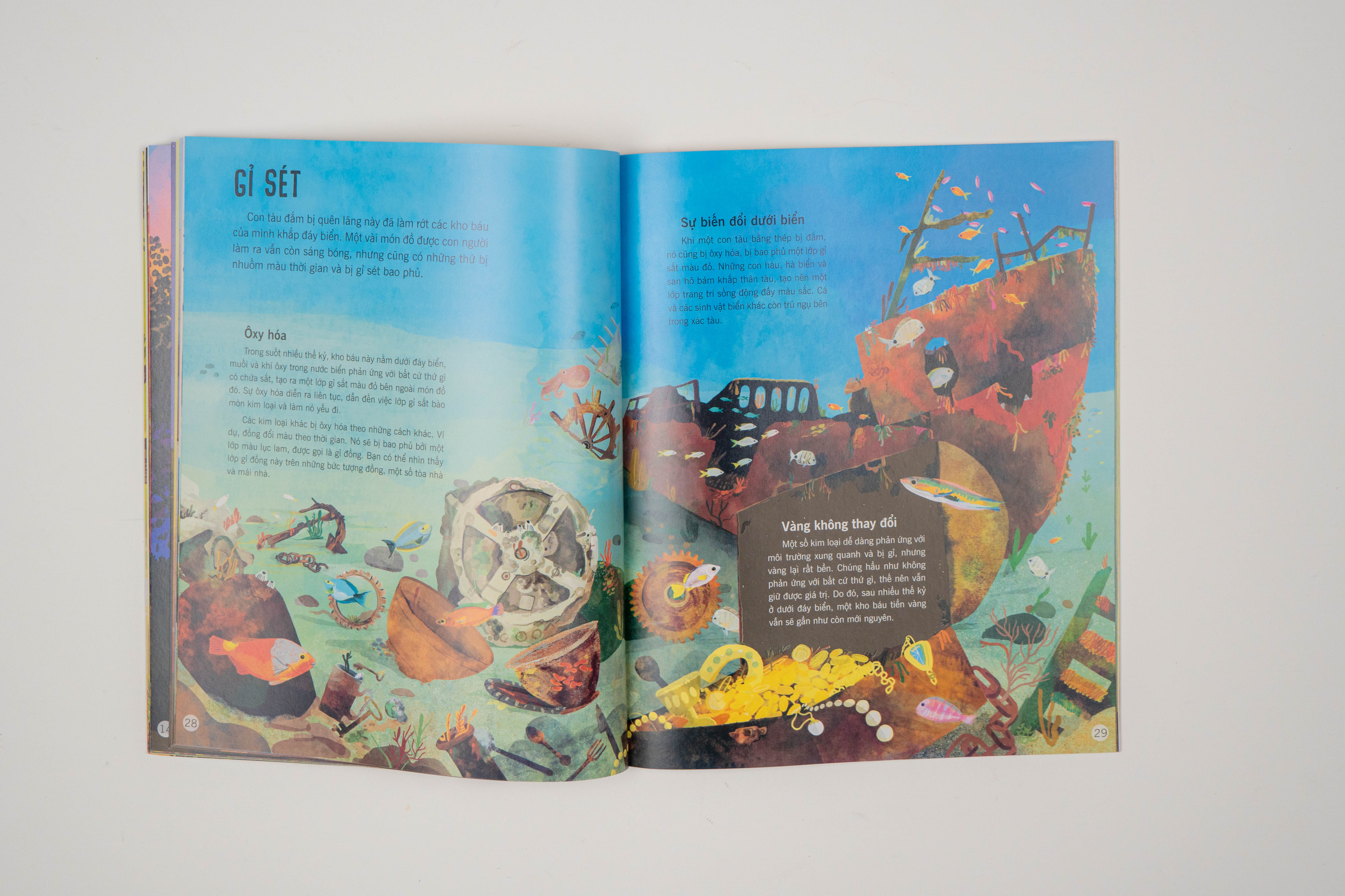 Sách - Vạn vật biến đổi - Bách khoa tri thức cho trẻ từ 6 - 12 tuổi - Đinh Tị Books