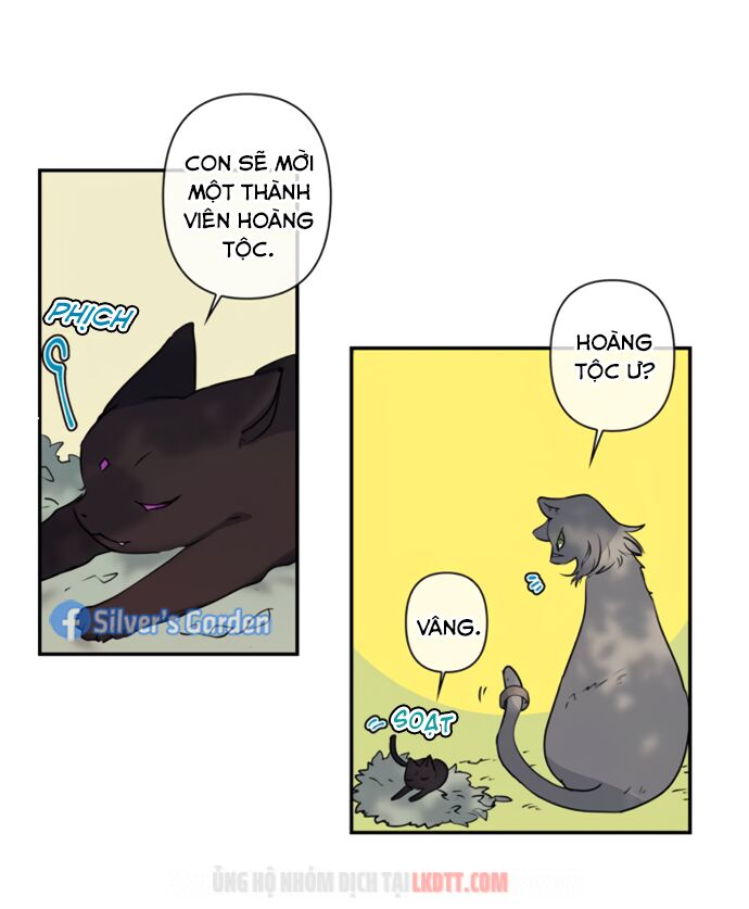 tôi đang nuôi dưỡng một con quái thú chapter 17 6