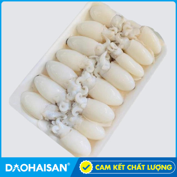 Mực Bầu Baby Khay 500g