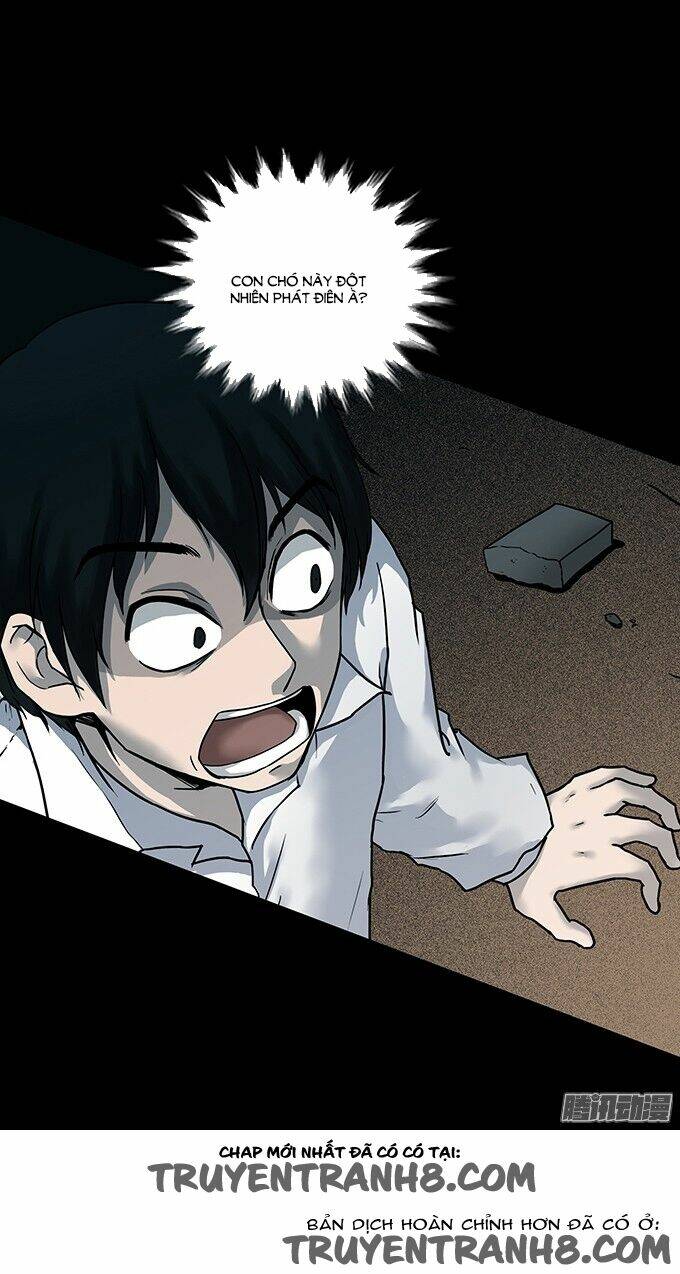 ớn lạnh tuyệt đối chapter 96 21