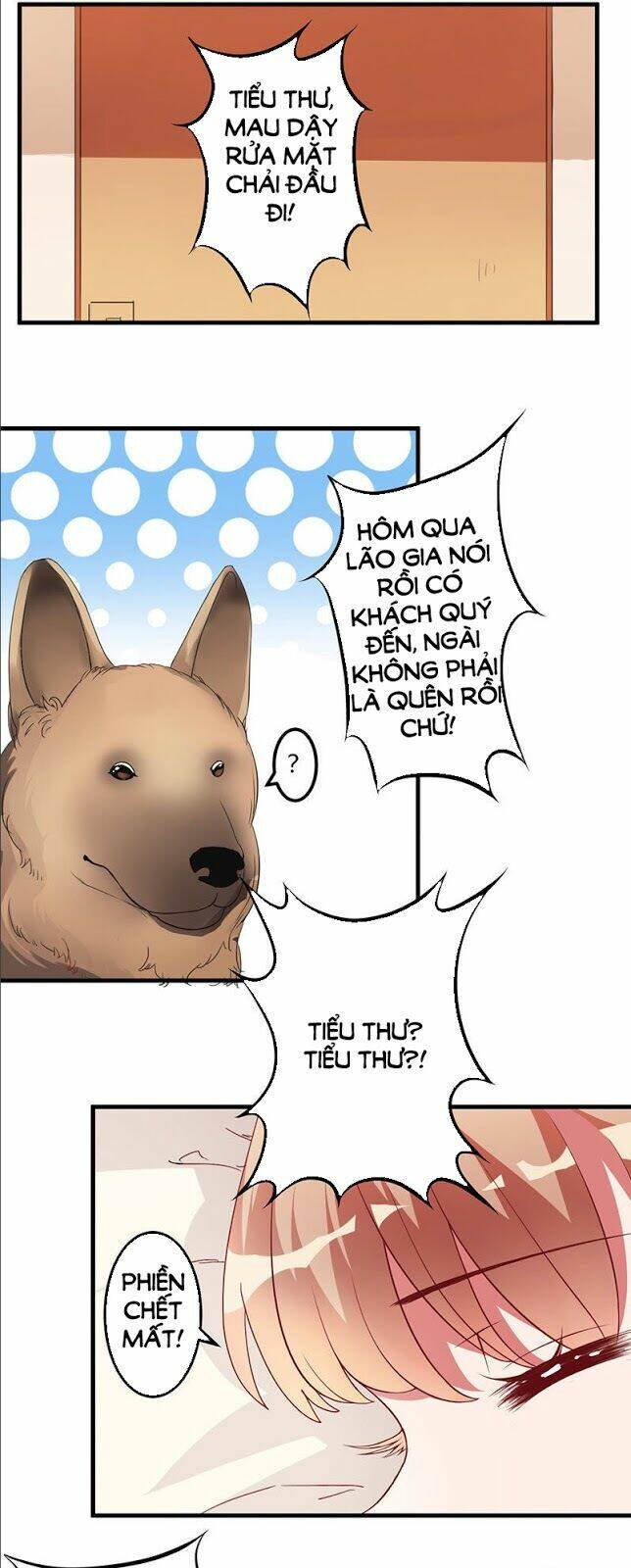 trên gối của chủ tịch ác ma chapter 11 11