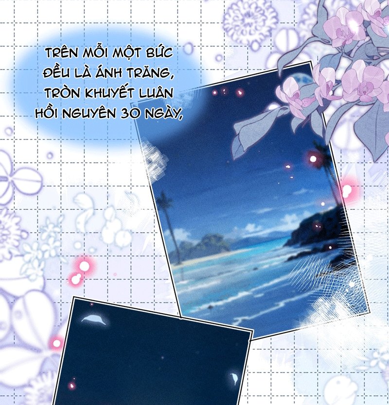 ánh trăng vì tôi mà đến chapter 49 61